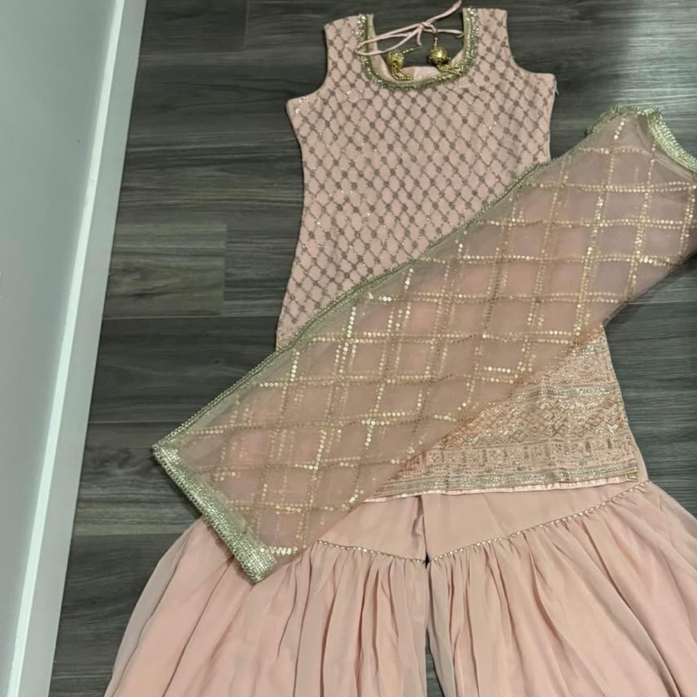 Elegant Pink Women's Punjabi Suit